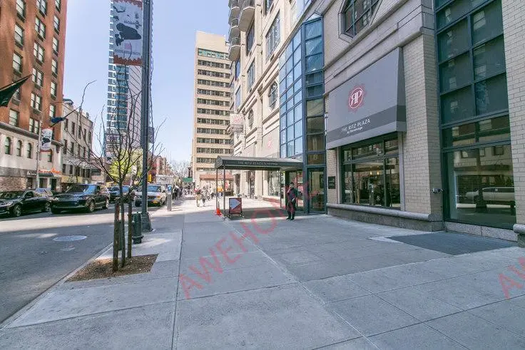紐約租房The Ritz Plaza 1350