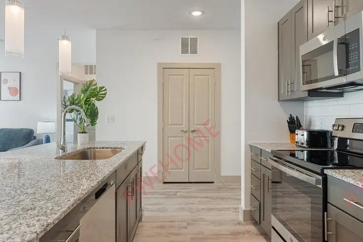 奧斯汀租房Plains Crest Drive 1240319P