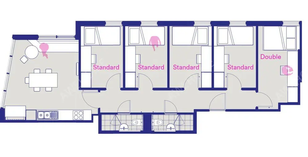 布里斯班租房Student One Elizabeth Street - 2025 S2 預定開啟