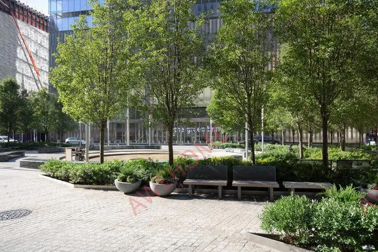 紐約租房53 Park Pl 54