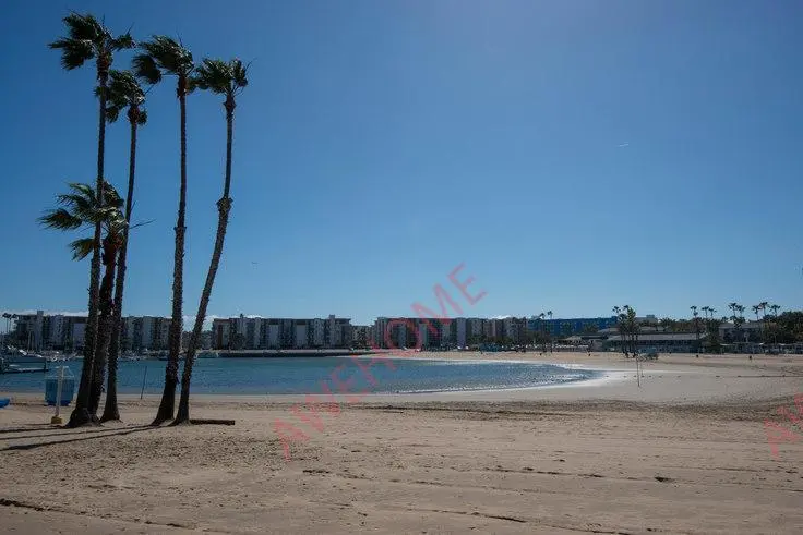 洛杉磯租房Jefferson at Marina Del Rey 1332