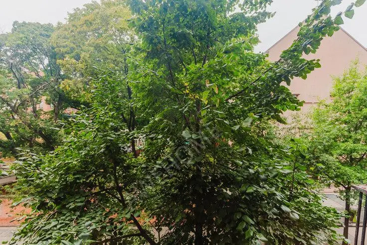 紐約租房246 Mott St 1571