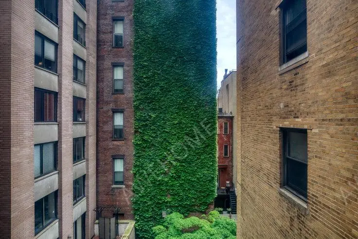 紐約租房110 W 79th St 277