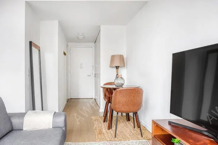 紐約租房Tribeca Tower 185