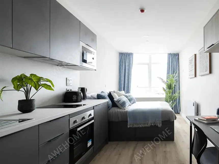 斯旺西租房Boutique  Swansea