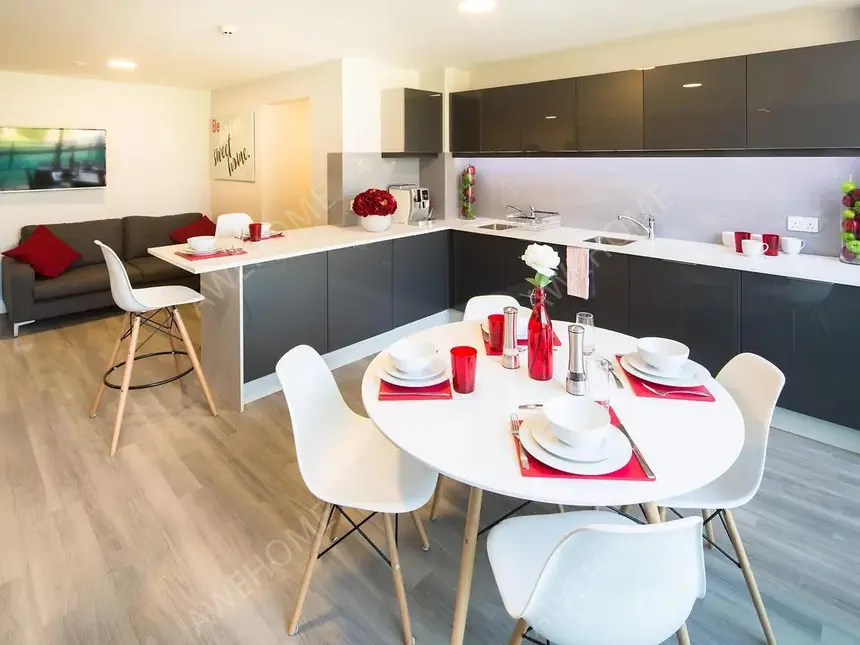 倫敦租房ViBe Student Living  Kingston