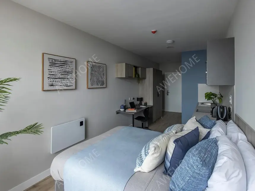 斯旺西租房Boutique  Swansea