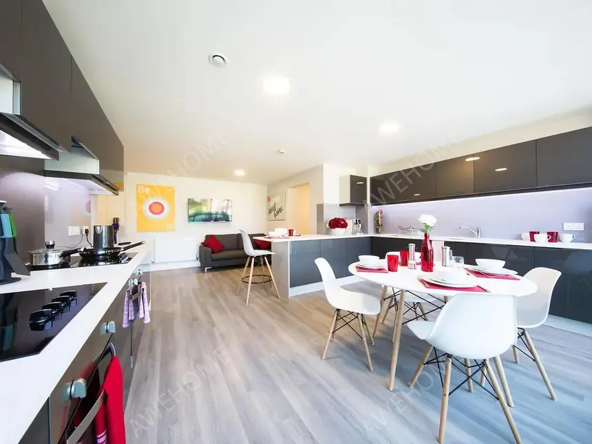 倫敦租房ViBe Student Living  Kingston