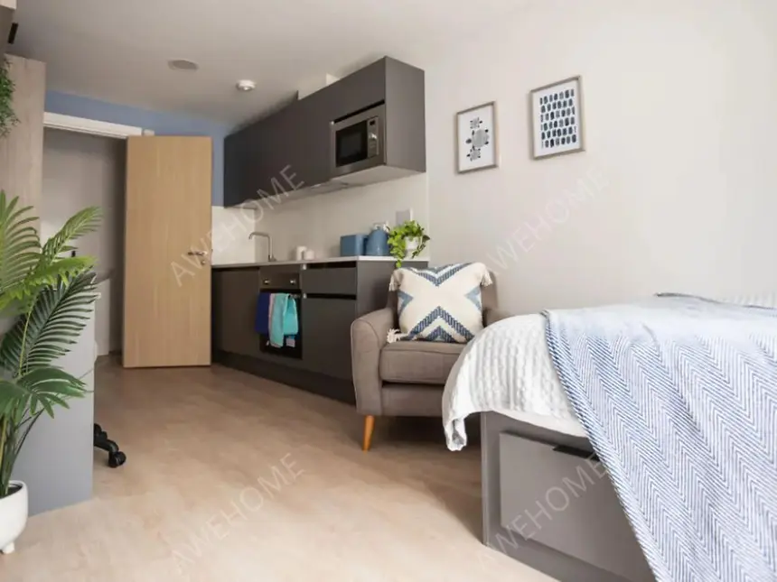 埃克塞特租房Boutique Student Living  Exeter
