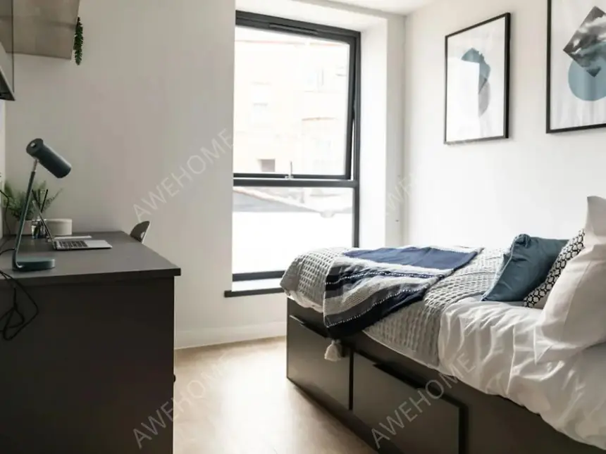 埃克塞特租房Boutique Student Living  Exeter