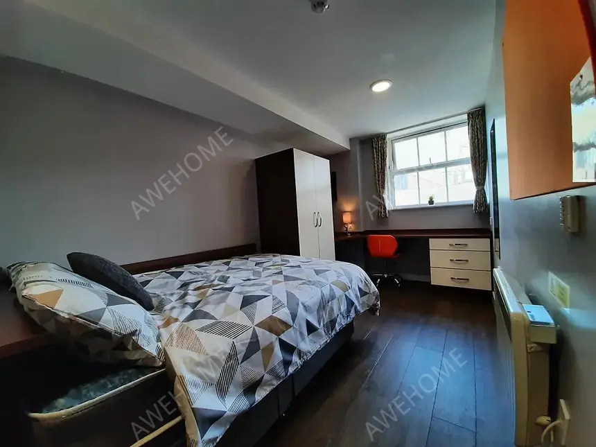 紐卡斯爾租房Albion House