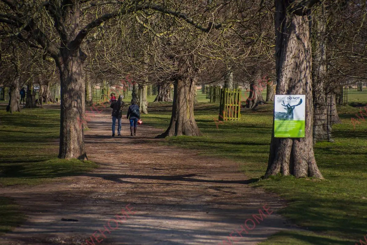 倫敦租房Harrowdene Gardens 1B
