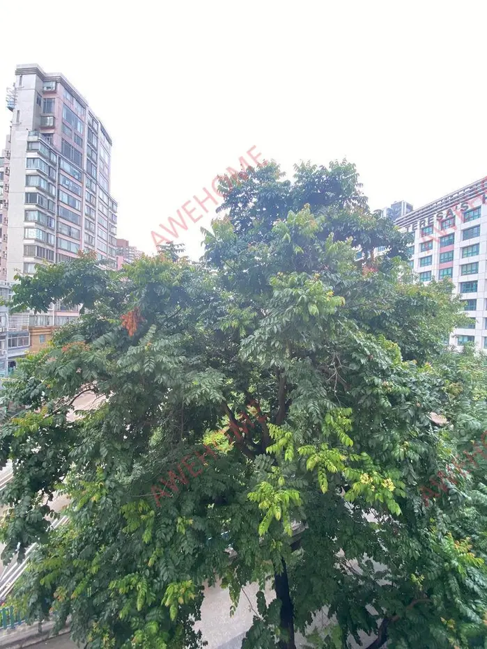 中國香港租房品蘭居