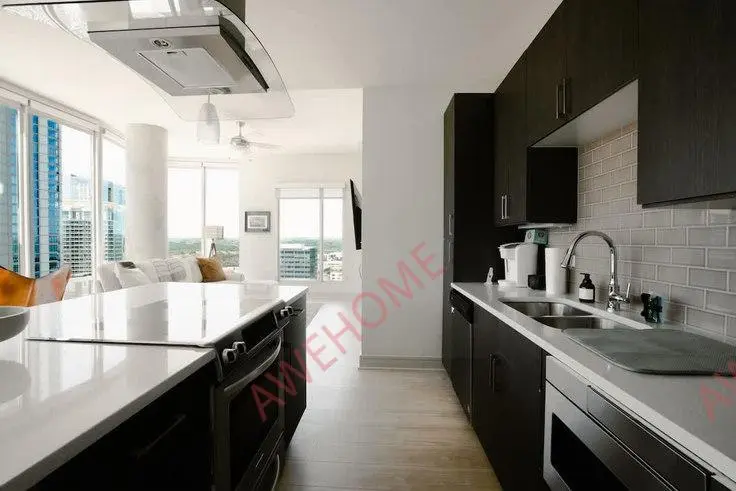 奧斯汀租房West 7th Street 1256843P