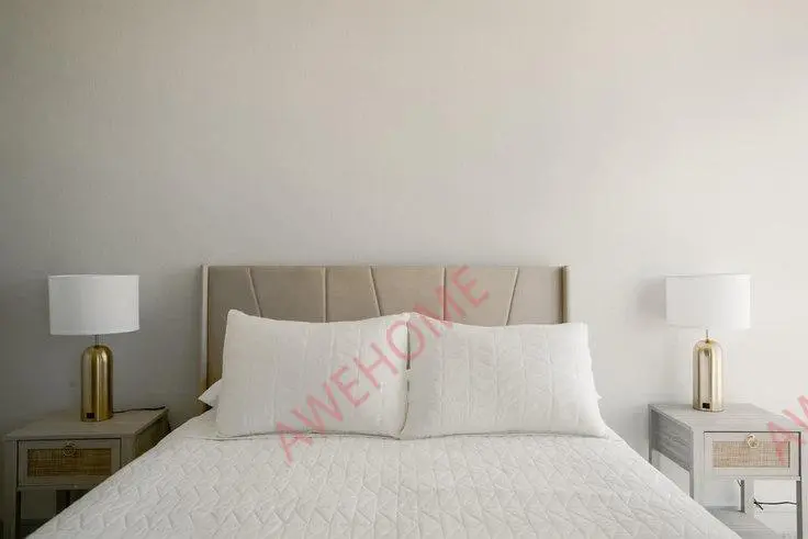 奧斯汀租房West 7th Street 1256843P