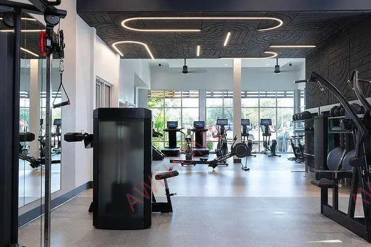 奧斯汀租房Griffis at the Domain Building 3 351