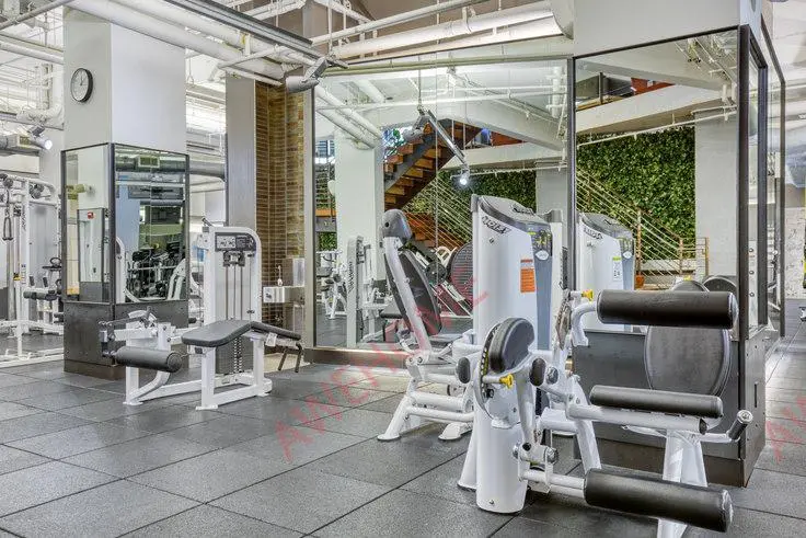 紐約租房The Caledonia 2046