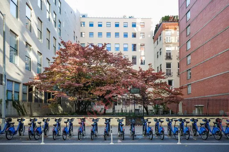 紐約租房The Tate 2044