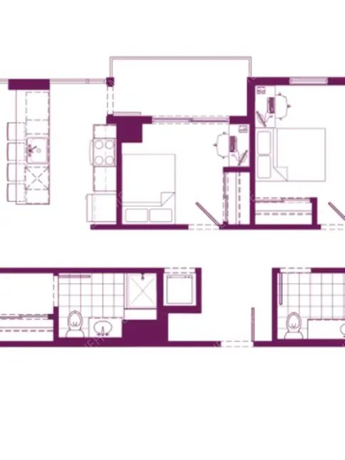 圖森租房Tucson Campus