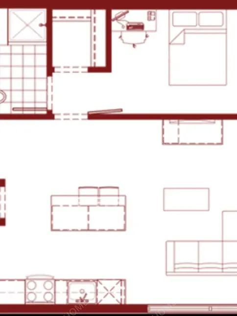 圖森租房Tucson Campus