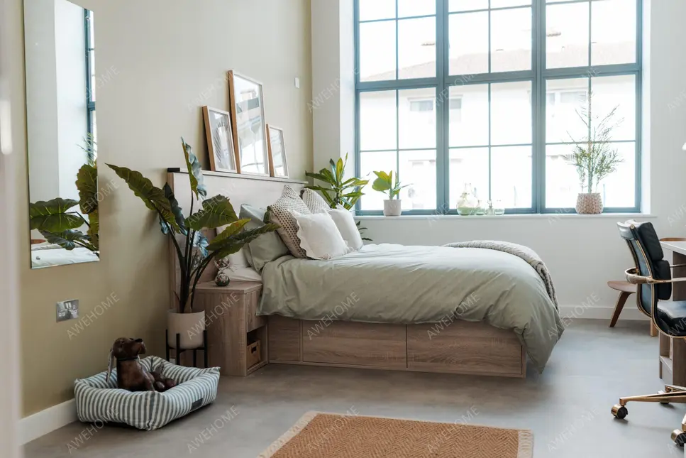 倫敦租房Student Accommodation in Deptford