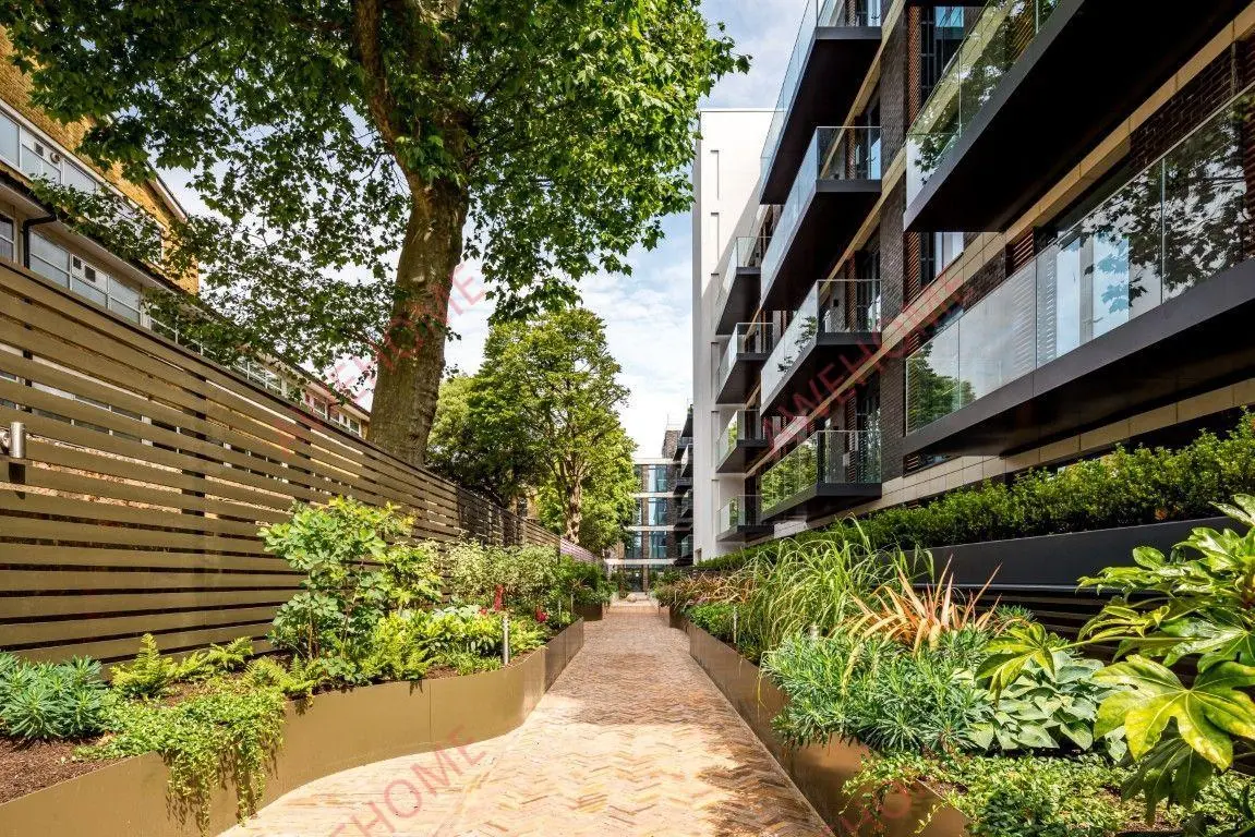 倫敦租房Nightingale Lane 1B