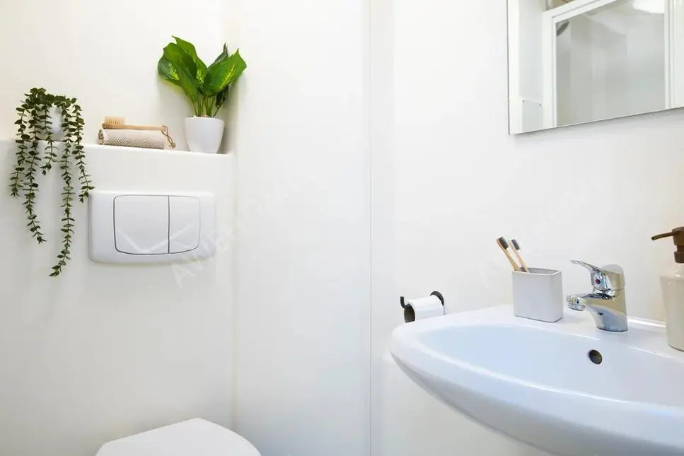 卡迪夫租房Clodien House