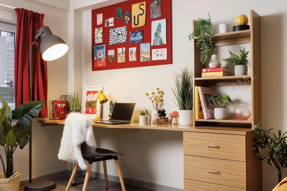 紐卡斯爾租房Manor Bank