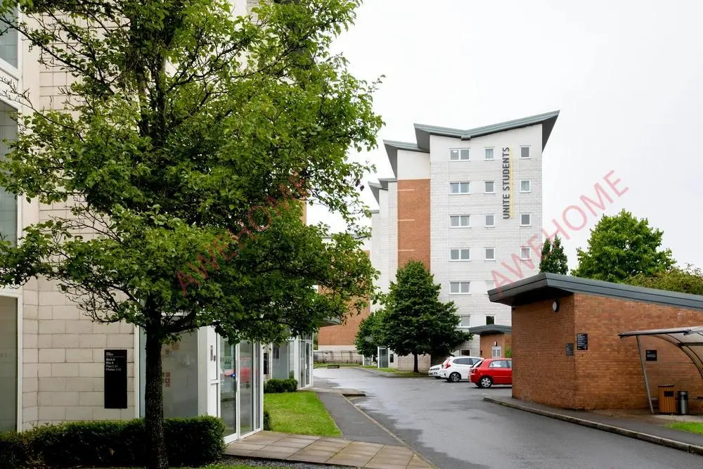 卡迪夫租房Clodien House