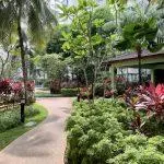 新加坡租房The Warren