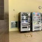 新加坡租房The Warren