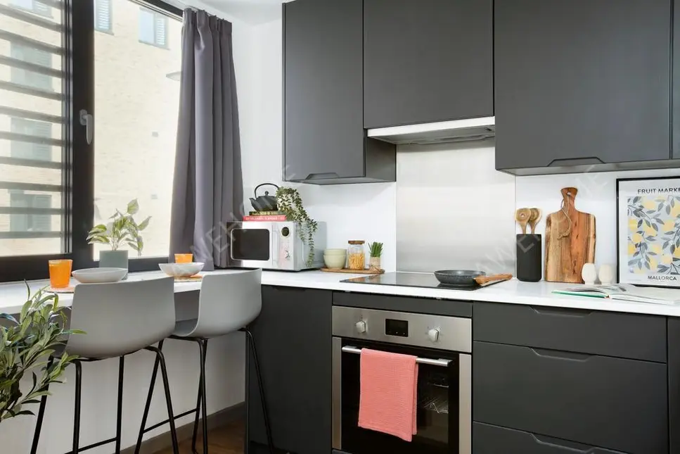 BristolHomestay Rentals[Homestay]Campbell House