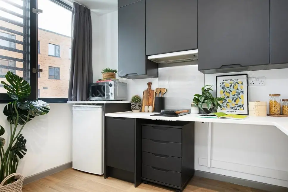 BristolHomestay Rentals[Homestay]Campbell House