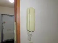 ueda city Rentalsleopalace Evergreen