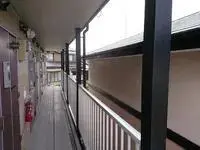 kurume citySingle Apartment Rentals[Single Apartment]leopalace Miyanogi