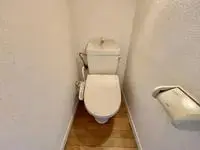 suwa city Rentalsleopalace Tierra