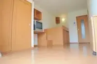 Nagoya Rentalsleopalace Wing 3