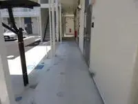 mookaCelebrities Rentals[Celebrities]LEONEXT Infurendo