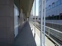 Ishikawa Rentalsleopalace New Kelvin 5