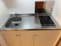 IchikawaSingle Apartment Rentals[Single Apartment]LEONEXT Kakinoki