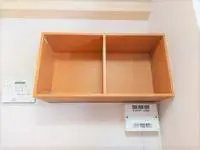 Saga Rentalsleopalace Homeland