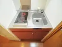 tsurugaBNB Rentals[BNB]leopalace Grace