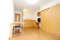 Hikone Rentalsleopalace Pase