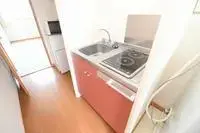 Hiratsuka Rentalsleopalace ETERNAL