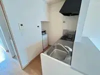 TakasakiCelebrities Rentals[Celebrities]leopalace Maison Usui II