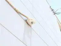 yashioSingle Apartment Rentals[Single Apartment]leopalace Dear Court