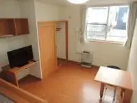 Sapporoshort-term accommodation Rentals[short-term accommodation]leopalace Tanpopo