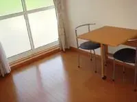 okazaki citySingle Apartment Rentals[Single Apartment]leopalace Barone