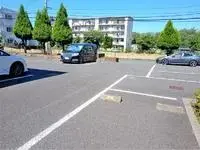 Soka Rentalsleopalace Placido