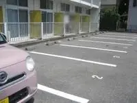 KochiSingle Apartment Rentals[Single Apartment]leopalace Grand Cru Le Clot